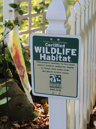 Forget the flower garden, build a backyard wildlife haven