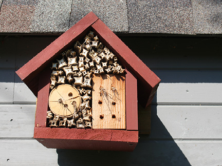 Forget the flower garden, build a backyard wildlife haven