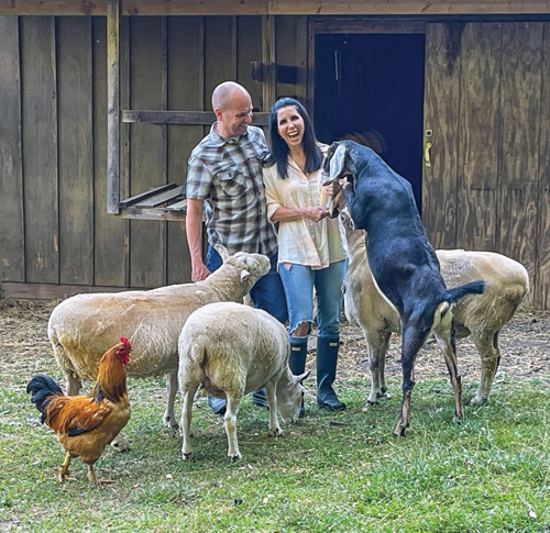 Abused farm animals find love at local sanctuary | Scriptype