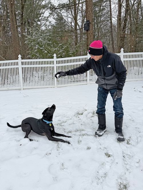 Lovable goofball Tank is ready for his forever home | Scriptype