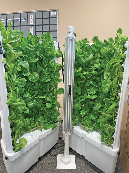 HydroponicsGrowing-10-26