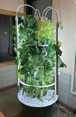 Garden Tower