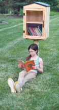 Free Little Libraries