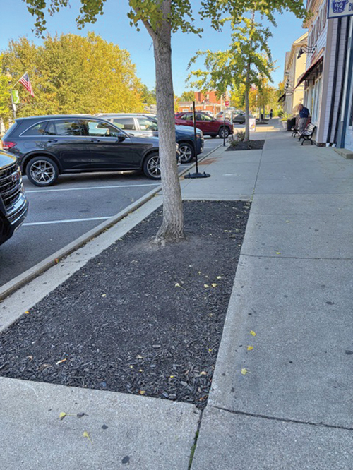 Adopt-a-Spot 1.5 col