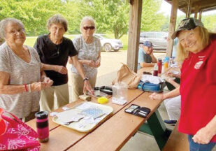 50 Plus Club Picnic